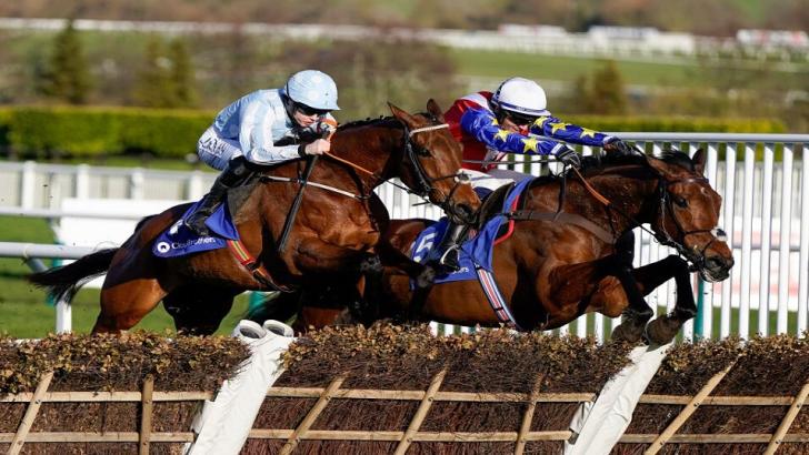 Rachael Blackmore riding Honeysuckle at Cheltenham